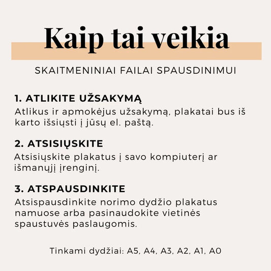 „Super komplektas“ 43 edukaciniai, motyvuojantys ir įkvepiantys plakatai vaiko kambario sienai